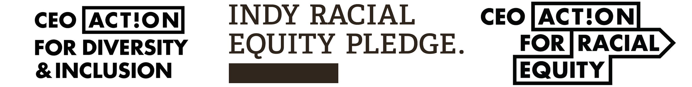 CEO Action for Diversity & Inclusion